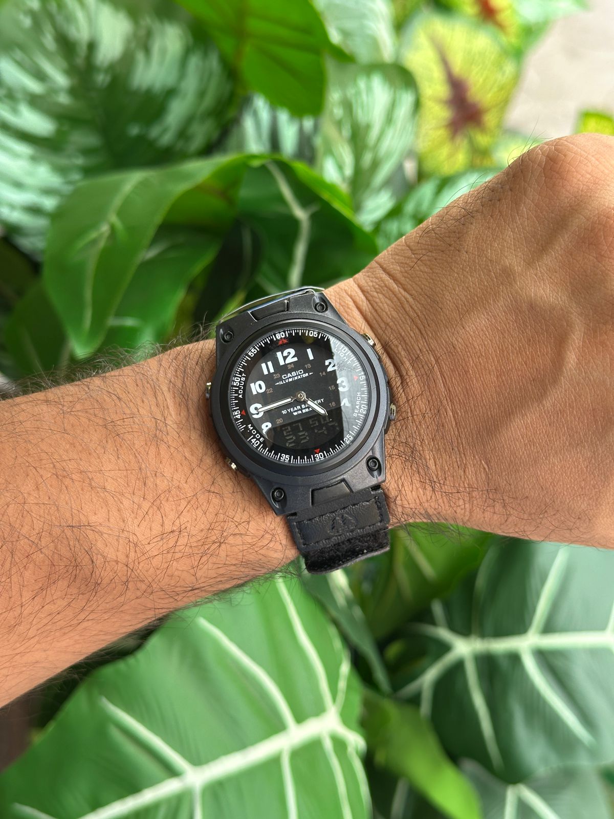 CASIO AW-80V-3BJH Watch